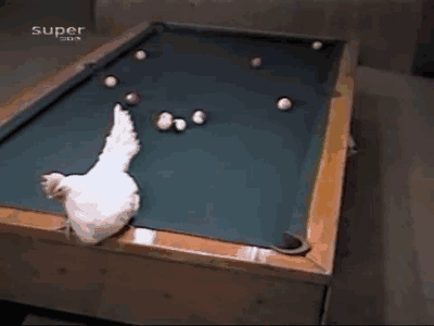 This ‘egg-streamly’ good pool shot is awesome!
