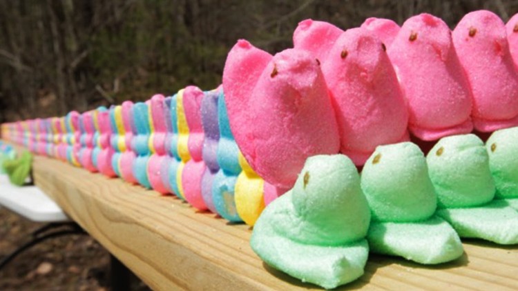 This guy must have found out what Peeps are actually made of and decided to retaliate on the ingredients! 