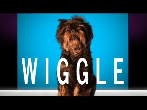 You be the judge. Wiggle or Waggle? (We vote Waggle)
