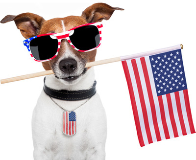 10 Pets That Are Just Oh So Excited For Independence Day