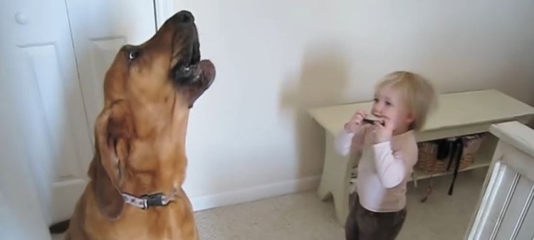 Toddler And Dog Singing The Blues.