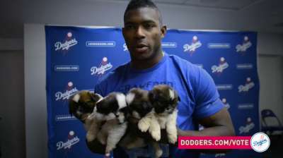 What Do You Get When You Put A Bunch Of Puppies In The Dodgers Clubhouse? This Awesome Video That’s What!
