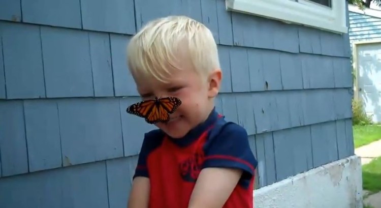 Little Boy Has The Cutest Reaction To A Butterfly Landing On Him!!