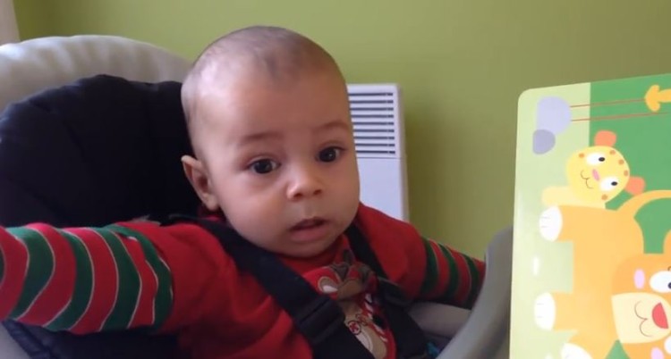 Baby Has A Priceless Reaction To Hearing A Lion Roar For The First Time