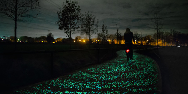 Bike Path In The Netherlands Illuminates The Road At Night!