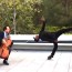 Yo-Yo-Ma Collaborates With An Amazingly Talented Street Dancer And The Result Is Incredible!
