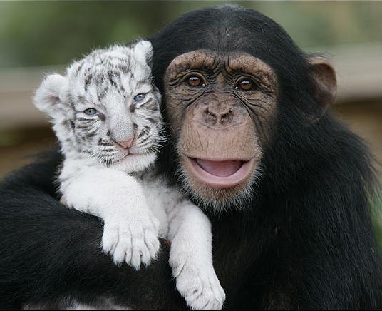 Here Are Some Of Our Favorite Hugging Images, In Honor Of Yesterday’s National Hug Day