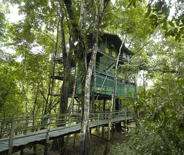 Here Are 8 Of The Awesomest Tree Houses Around The World