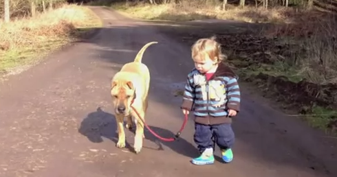 We’re Obsessed With This Adorable Baby And His Dog Best Friend!